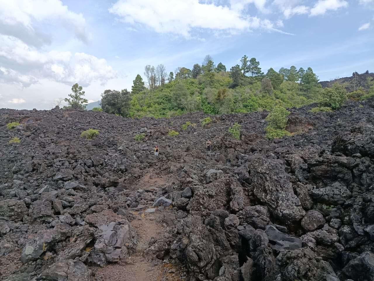 WhatsApp Image 2025-12-20 at 23.00.20