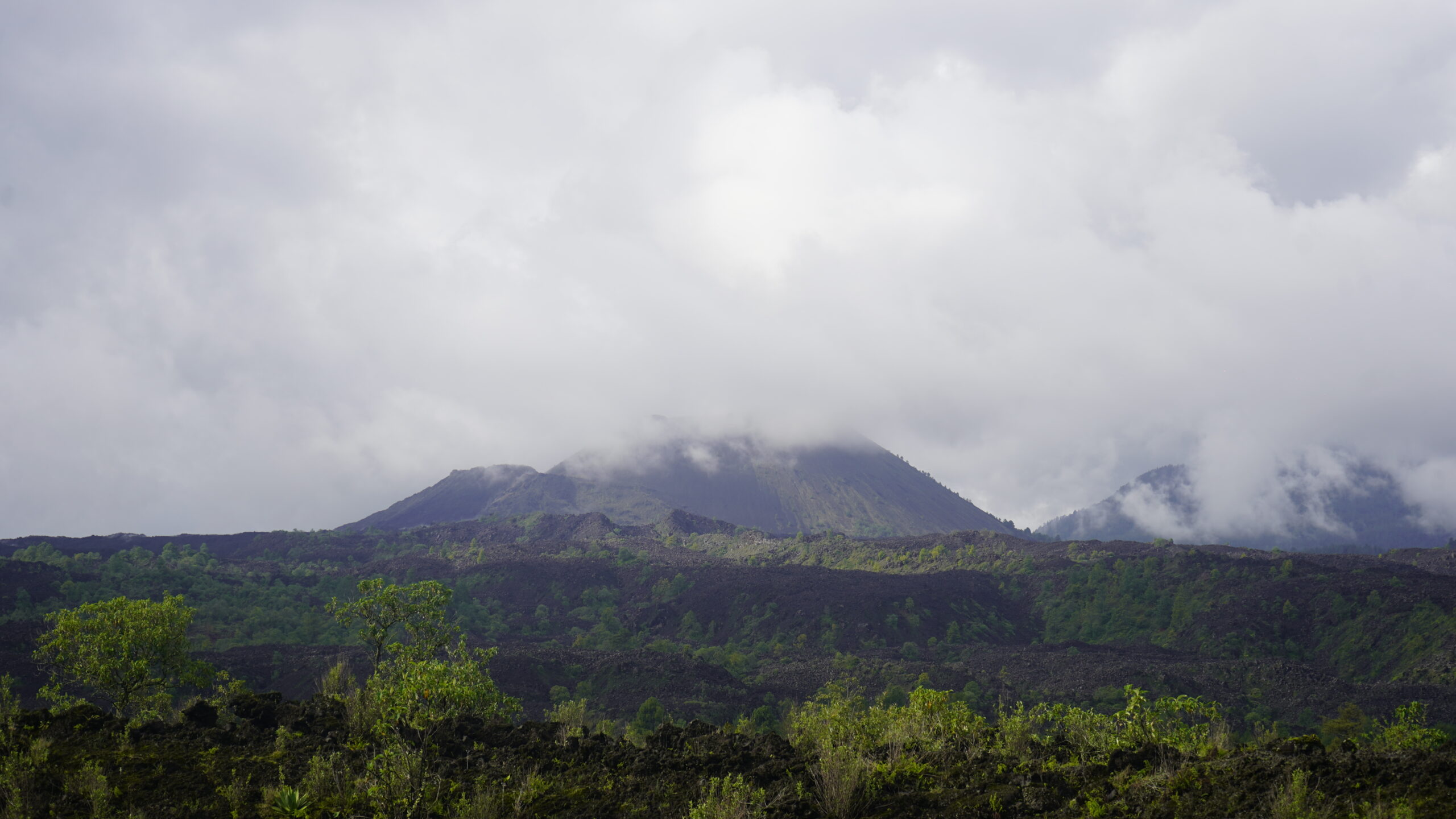 Copia de _DSC8710